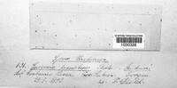 Image Associated With the Occurence